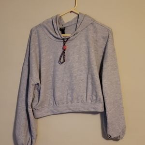 Wild Fable Cropped Hoodie
